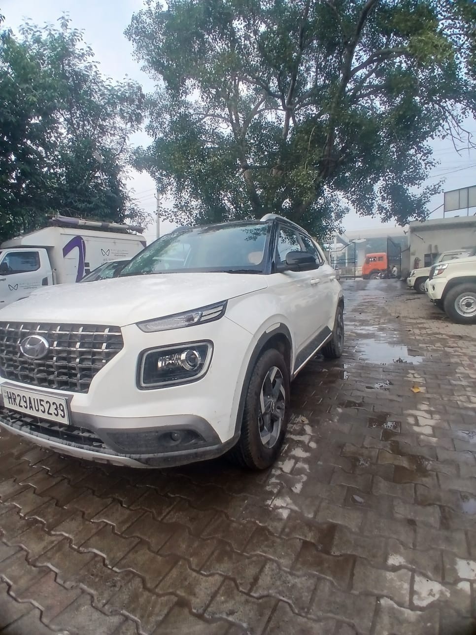 Used 2019 Hyundai Venue Used 2019 Hyundai Venue