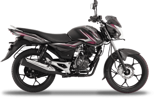 Charcoal Magenta Silver