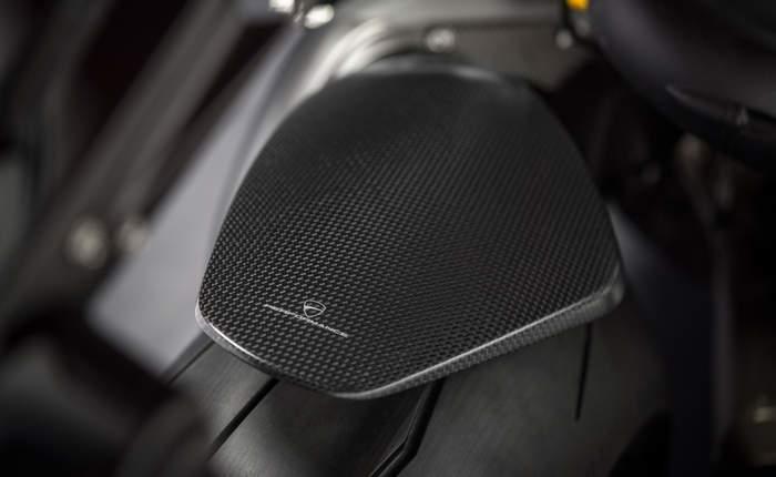 Panigale Carbon Rear Mudguard