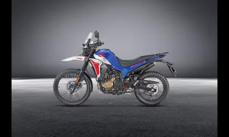 Xpulse 210678a6f498ca65