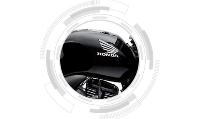 3d Wing Mark On Voluminous Tank