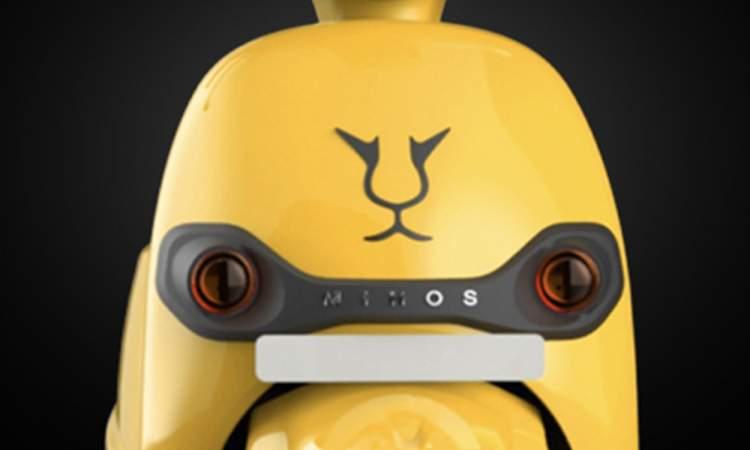 Joy E Bikes Mihos Front