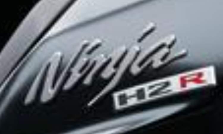 Kawasaki Original Silver Mirror Paint