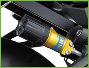 Advanced Electronic Riding Aids