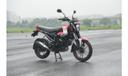 Bajaj Freedom