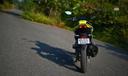 2025 Honda Cb 125 Hornet Gallery3