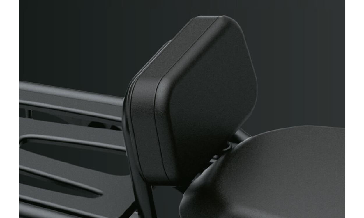 Backrest