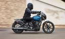 Indian Sport Scout
