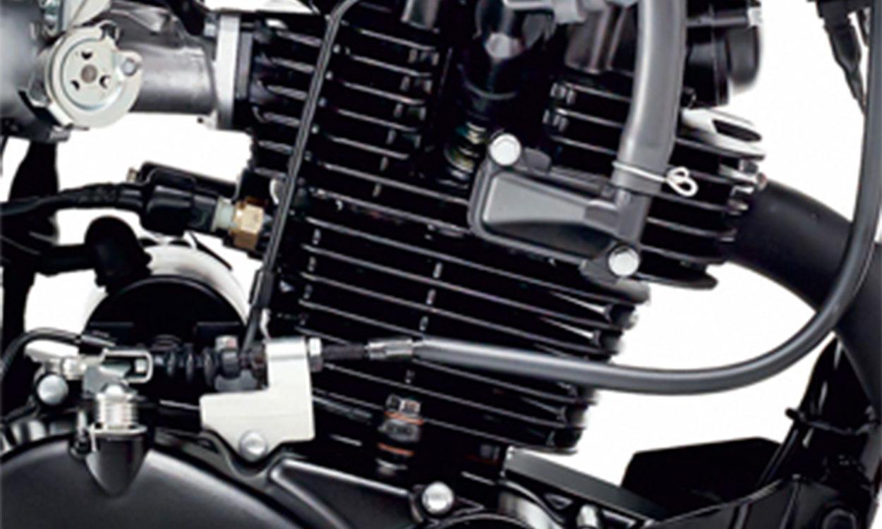 Kawasaki W175 Engine