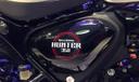 Hunter 350