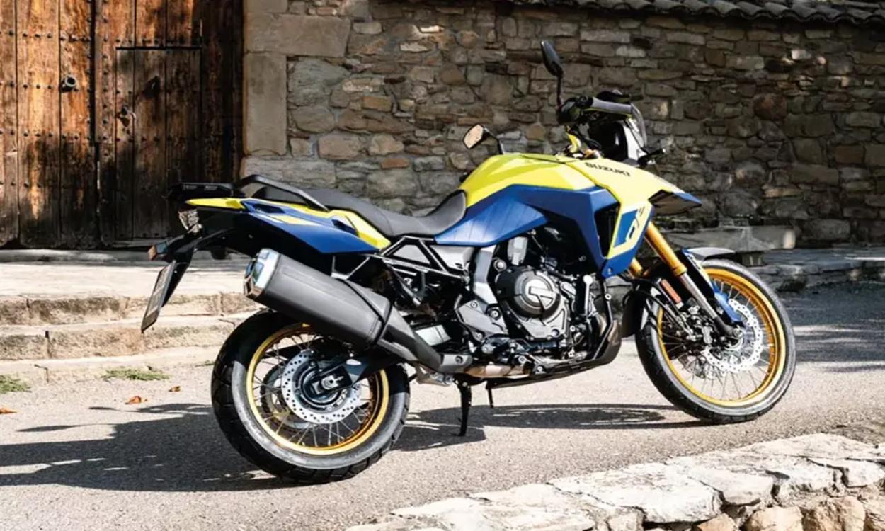 V Strom 800 Back Work