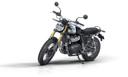 Royal enfield bear 650 lhs goldenshadow3