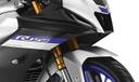 Yamaha R15m Dualhorn