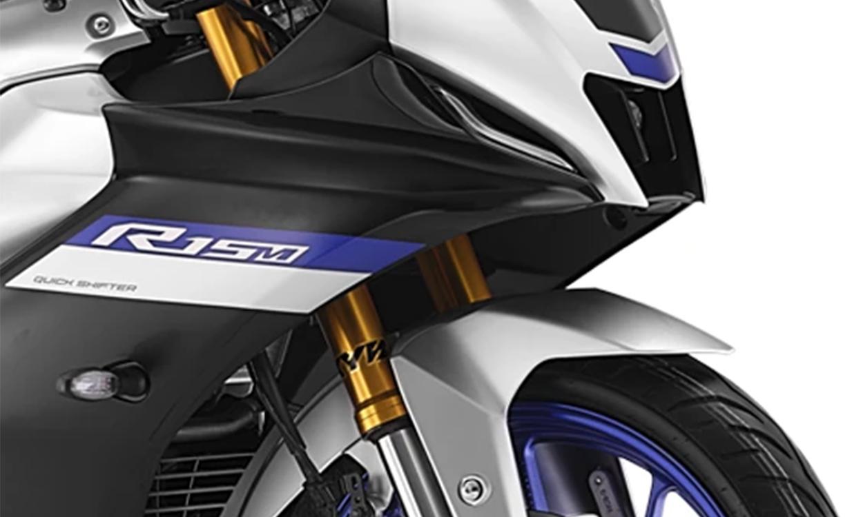 Yamaha R15m Dualhorn