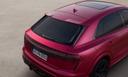 2025 Audi RS Q8 Topview