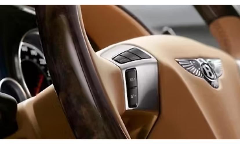 Bentley Continental Flying Spur Steering Wheel
