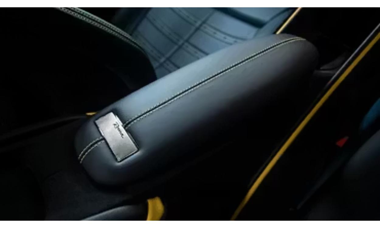 Roma Interior Front Centre Arm Rest