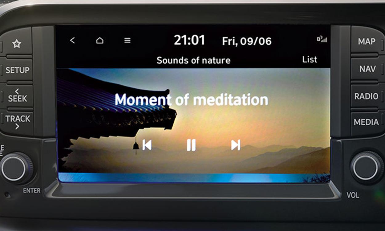 Hyundai exter ambient sounds of nature