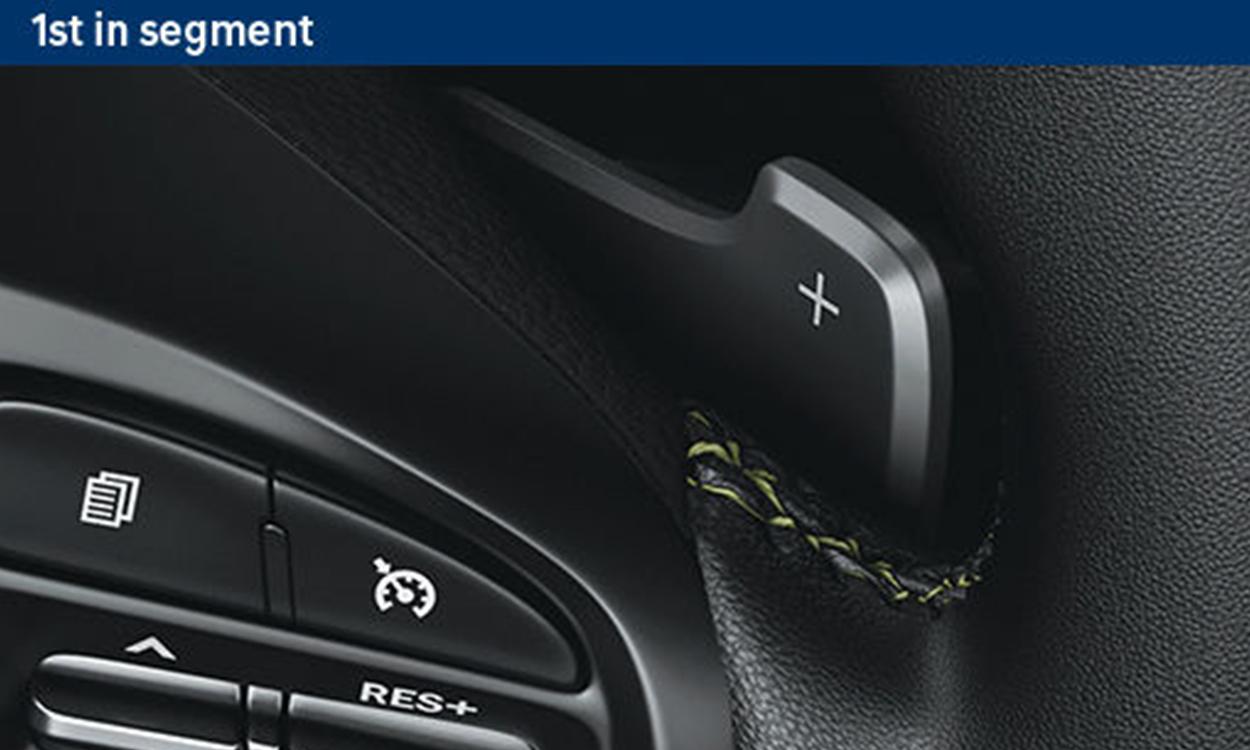 paddle shifters of exter