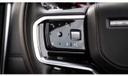 Discovery Sport Interior Left Steering Mounted Controls
