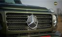 Mercedes Benz G400d Grille
