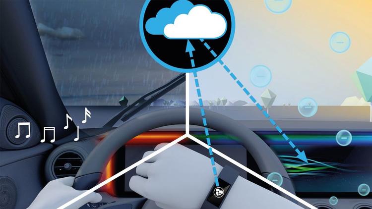 ENERGIZING package Plus