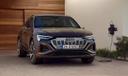 Audi q8 e Tron sportback grille