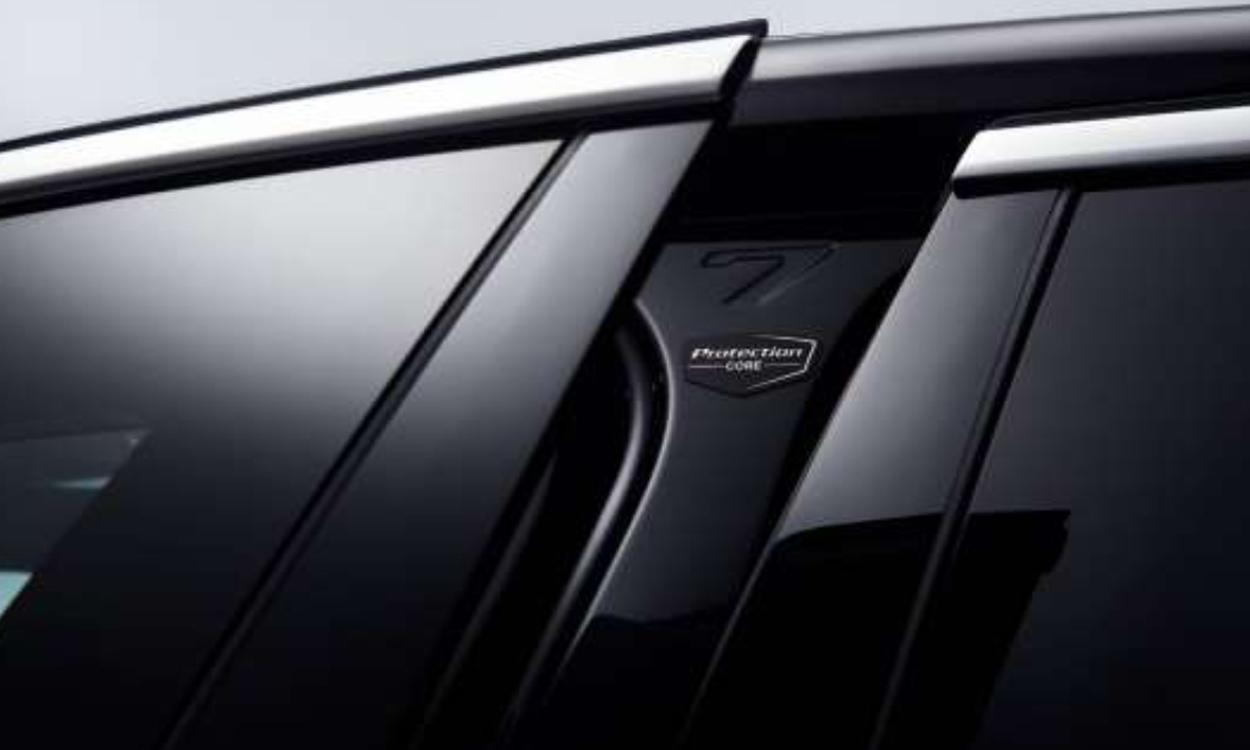 Bmw 7 Protection Doors