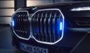 Bmw 7 Protection Grille