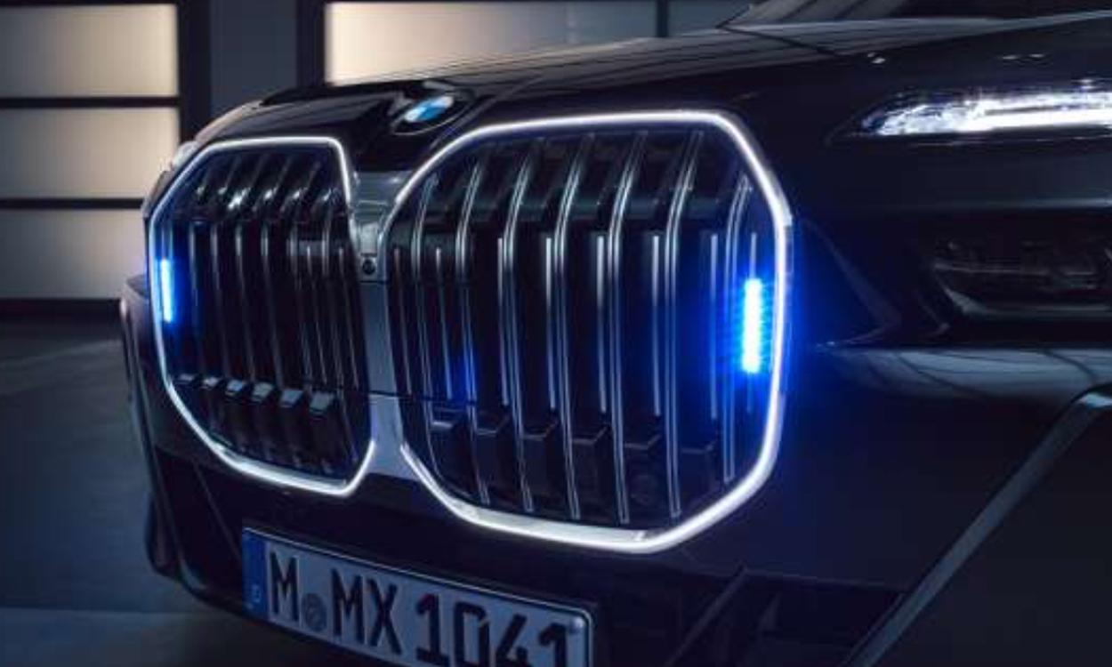 Bmw 7 Protection Grille