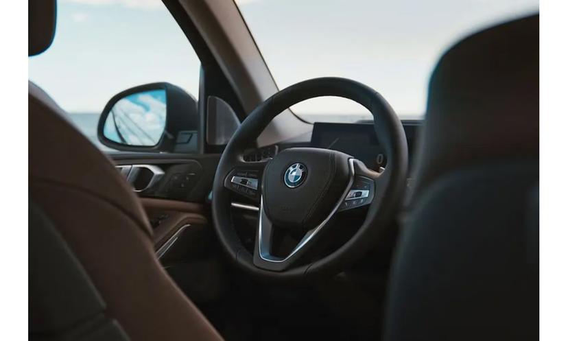 Steering Wheel 54