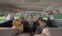 BYD eMax7 Seats comfort
