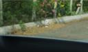 Byd Seal Glass view