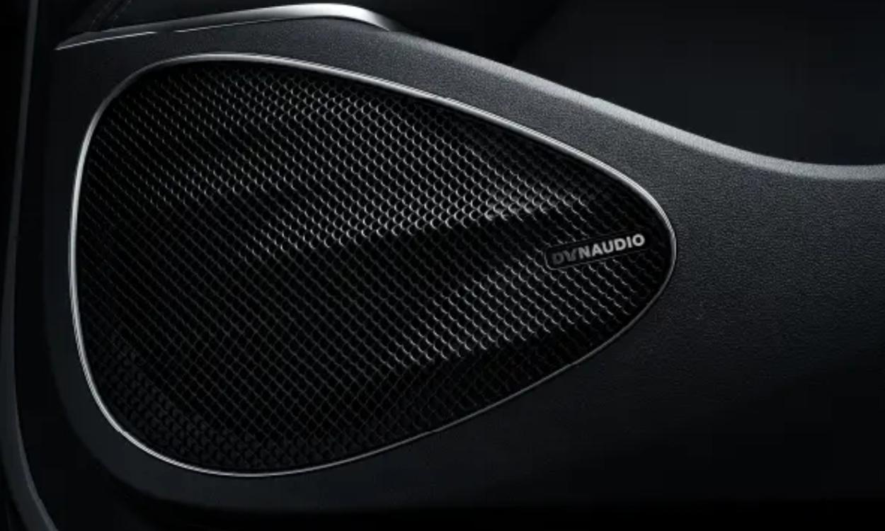 BYD Sealion 7 Speaker