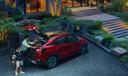 Citroen basalt tailgate