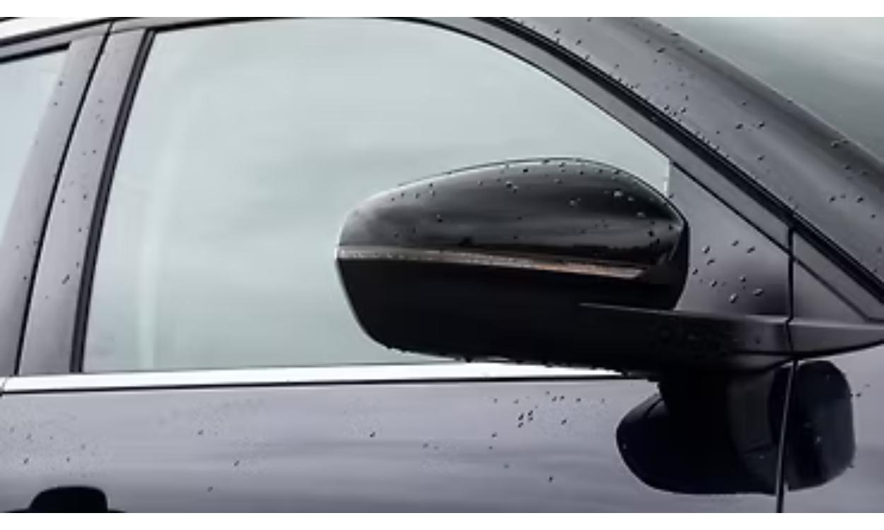 C5 Aircross Exterior Orvm Blinker