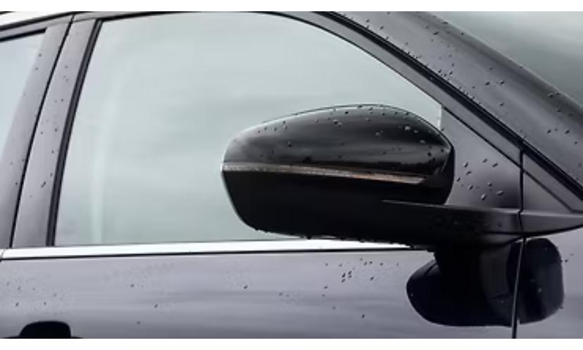 C5 Aircross Exterior Orvm Blinker