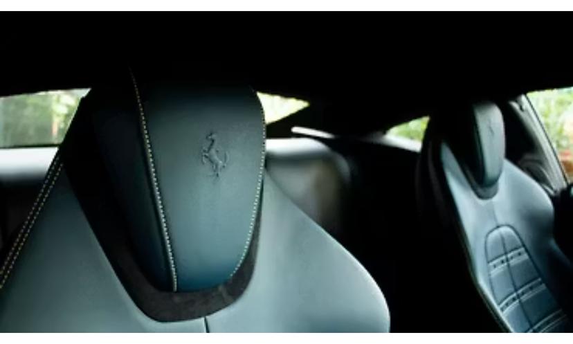 Roma Interior Front Seat Headrest