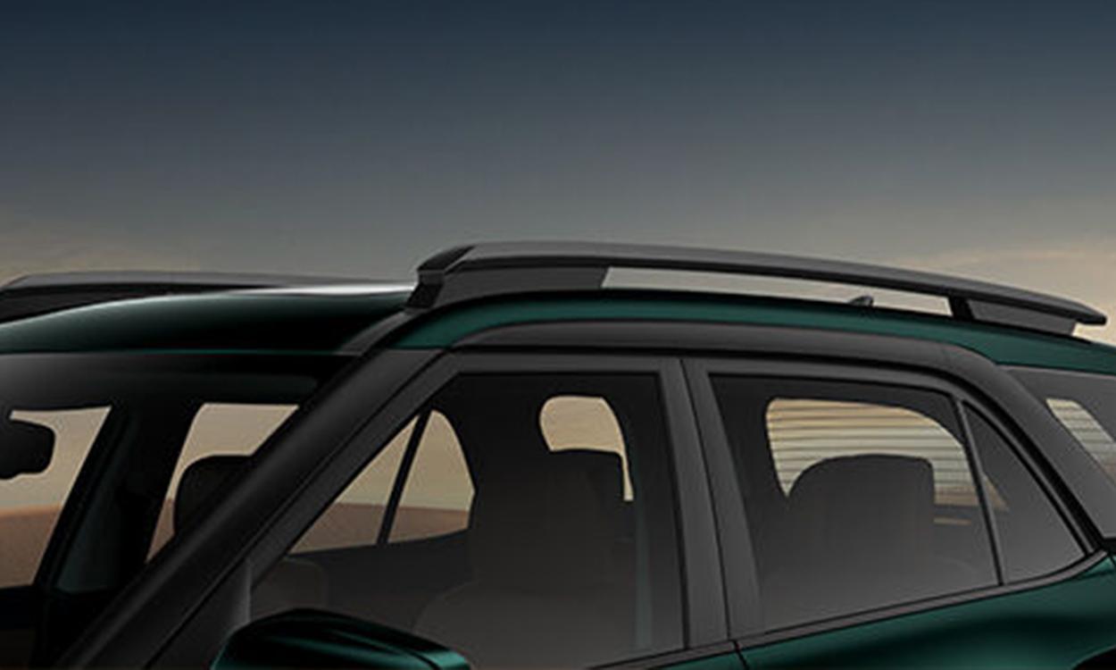 Hyundai alcazar roofrails