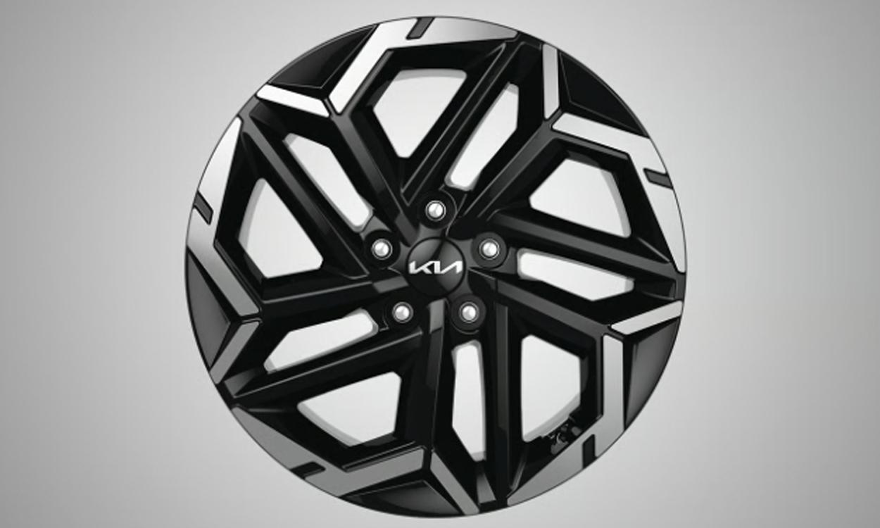 Kia Carnival Wheel Cover