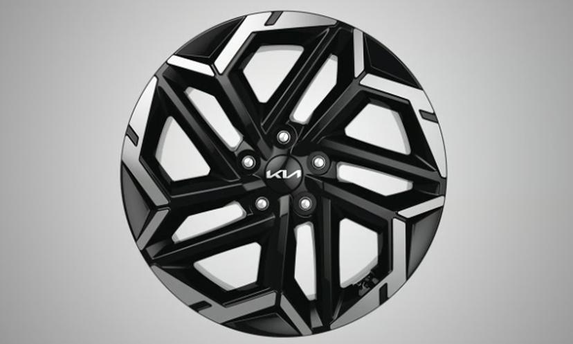 Kia Carnival Wheel Cover
