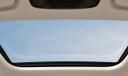 Kia Carnival Irvm