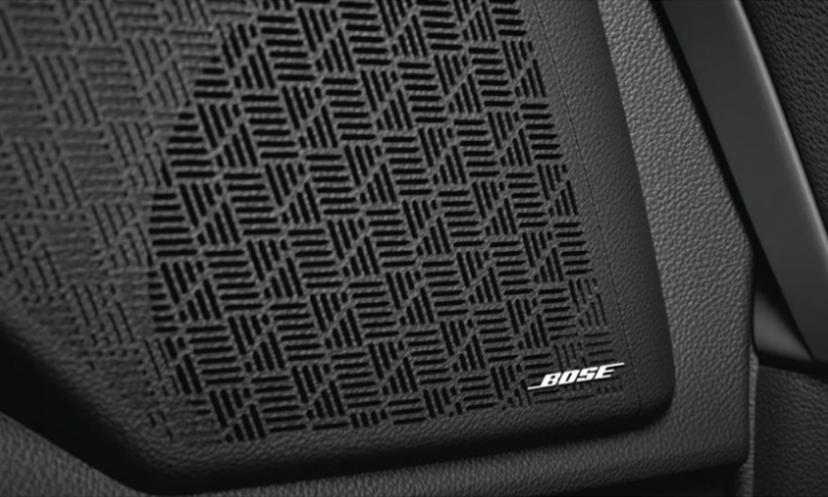 Kia Carnival Speaker