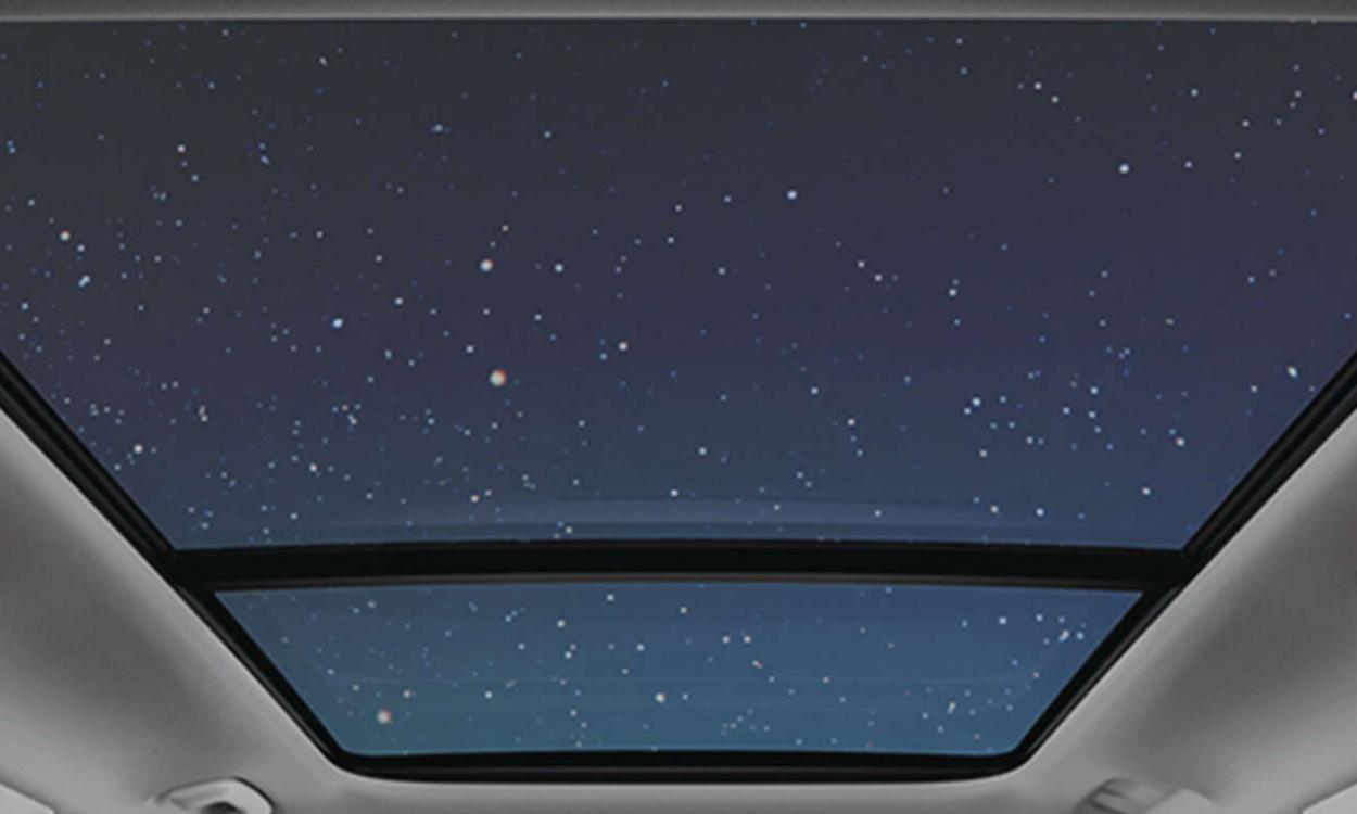 Dual Pane Panoramic Display On Kia Syros
