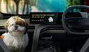 mahindra be6e beautiful setring