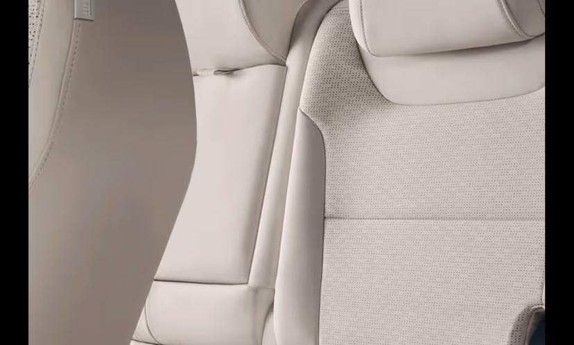 Mahindra Thar Roxx Upholstery Details