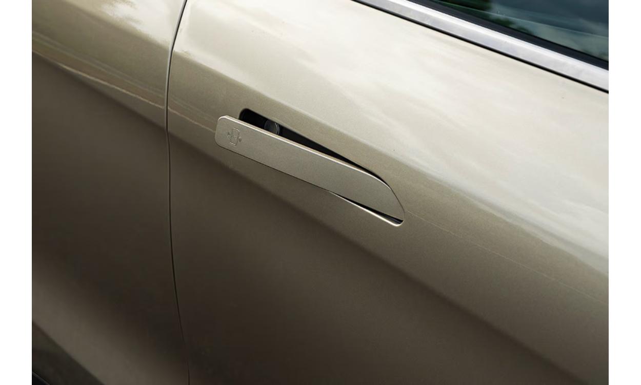 Mahindra Xev 9s Door Handle