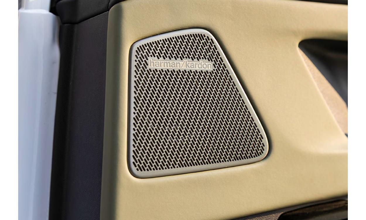 Mahindra Xev 9s Rear Door Speakers
