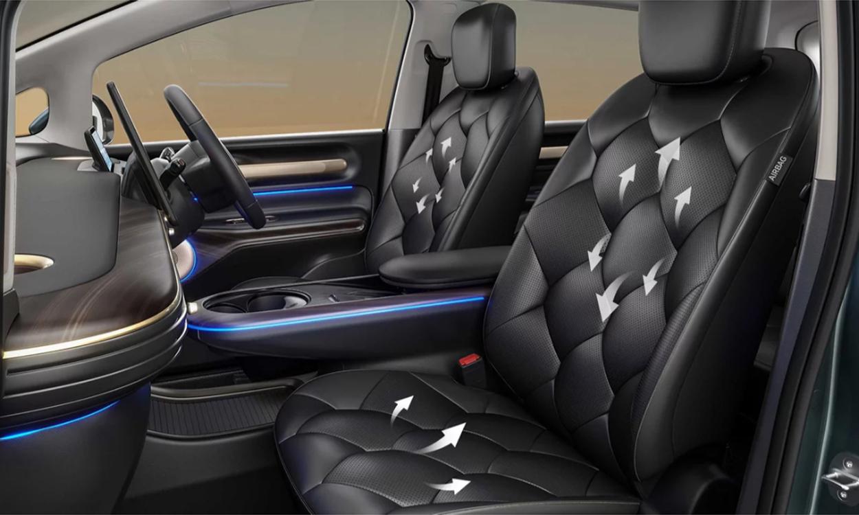 Mg windsor ev  seatrs