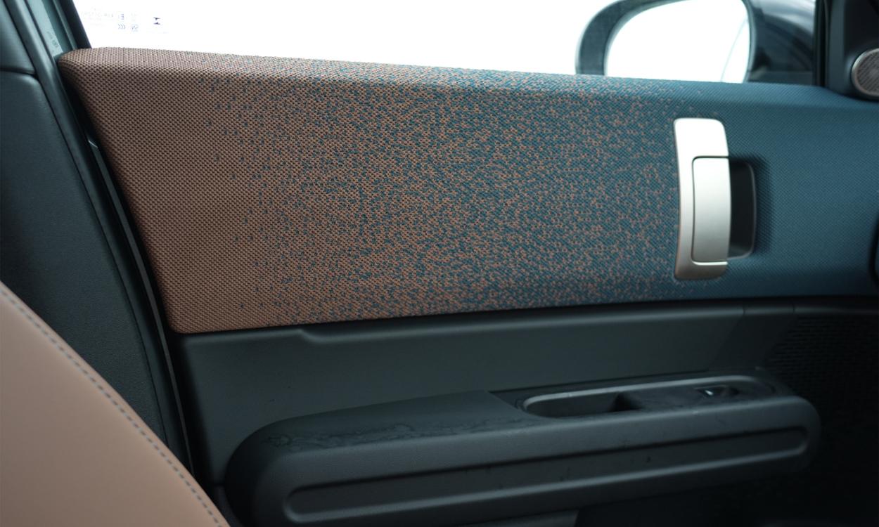 Mini Countryman Door